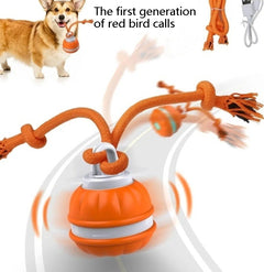 Interactive pet rolling ball toy from My Store, USB rechargeable, with colorful design and playful features for cats and small dogs.