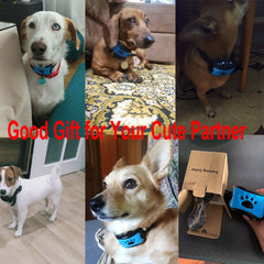 Ultrasonic anti-bark dog training collar from My Store with a sleek black design and adjustable strap for effective bark control.