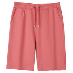 Men's summer casual sport shorts in lightweight fabric, featuring an athletic fit and adjustable waistband for active wear.