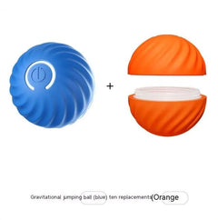 Rubber dog toy ball for pets, featuring a colorful design, perfect for dogs to chew and play with.