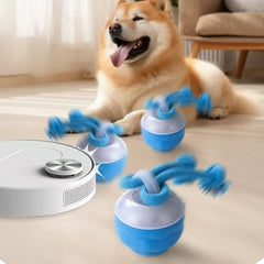 Interactive pet rolling ball toy from My Store, USB rechargeable, featuring a colorful spinning ball for cats and small pets.