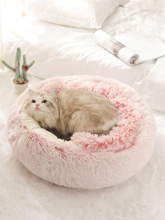 Soft 2-in-1 pet bed by My Store showing a cozy, foldable design with plush fabric and a removable cushion for pets.