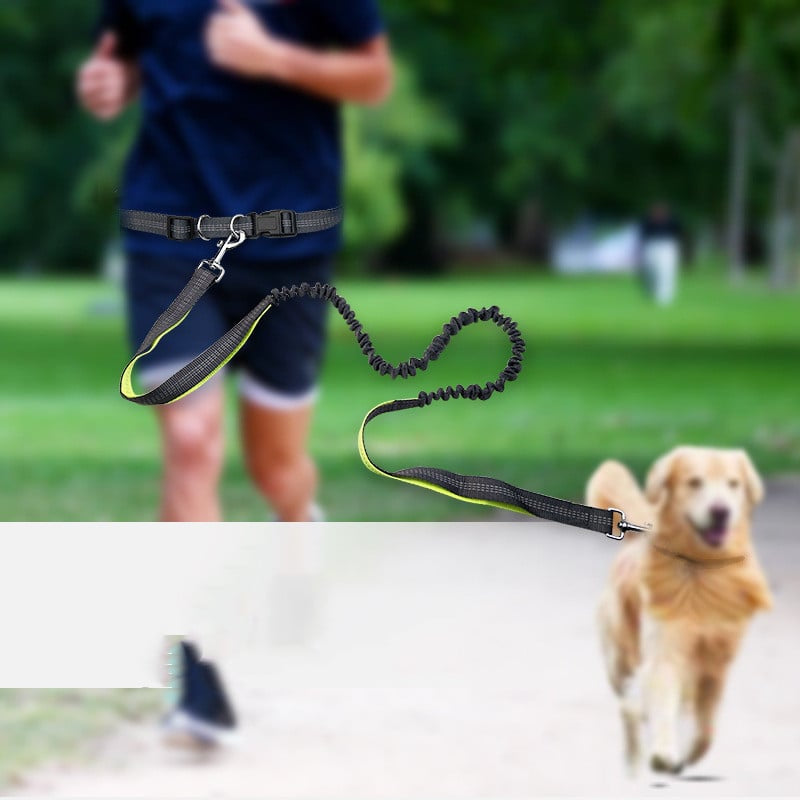 Dog walking belt with detachable shockproof leash from My Store, shown with adjustable waistband and secure leash attachment.