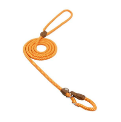 Nylon Pup Set featuring colorful nylon leashes and collars for dogs, designed for durability and comfort.