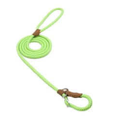 Nylon pup set with adjustable collar and leash in vibrant colors, suitable for small dogs, by My Store.