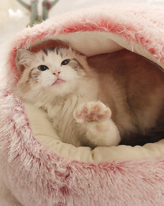 Soft 2-in-1 pet bed by My Store with cozy cushions and versatile design for dogs and cats.