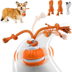 Interactive pet rolling ball toy with USB rechargeable feature, shown in motion with playful pet, designed for fun and engagement.