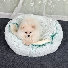 Soft 2-in-1 pet bed from My Store with cozy cushion and removable cover, ideal for small dogs and cats.