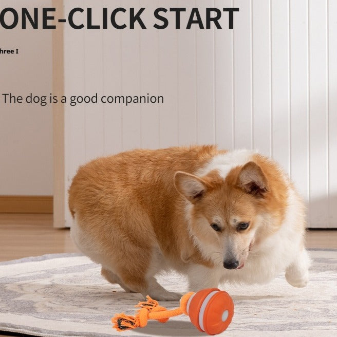 Interactive pet rolling ball toy from My Store, USB rechargeable, with colorful spinning design for cats and small dogs.