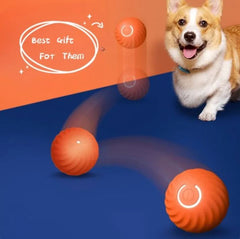 Rubber dog toy ball for pets, featuring a durable design for dogs to chew and fetch, ideal for active play.