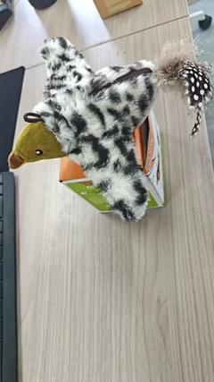 Soft plush bird-shaped pet toy from My Store, featuring colorful feathers and a squeaker for engaging play.